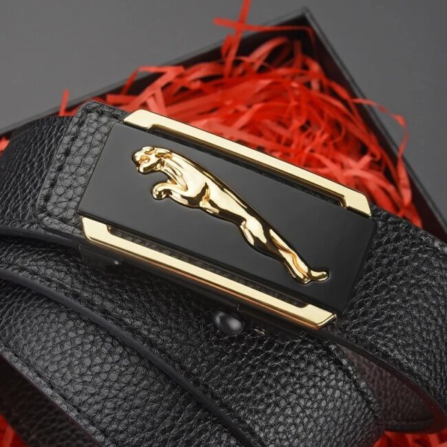Luxury-Men Genuine Leather Belt Automatic Buckle Ratchet Waist
