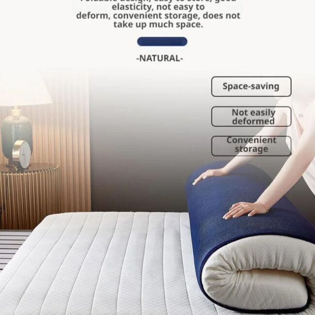 Double Mattress Student Dormitory Thickened Mat Latex Memory Foam Tatami Mattresses One Room Floor Topper Four Seasons Mattress