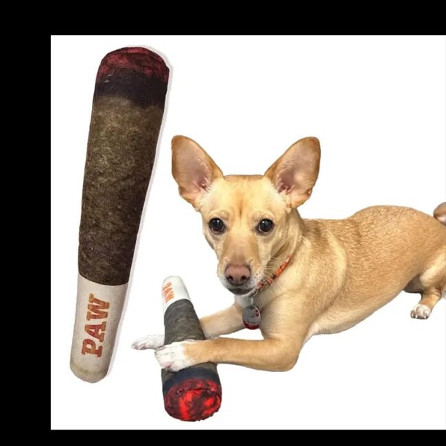 Plush Squeaky Toys for Medium, Small and Large - Cool Stuffed Cute Gifts for Dog Birthday Dog Joint Toys Funny Interactive