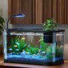 NEW Aquarium Kit Small Betta Fish Tank For Beginners Desktop Beginner Aquarium Household Fish Bowl For Betta Tortoise Frog